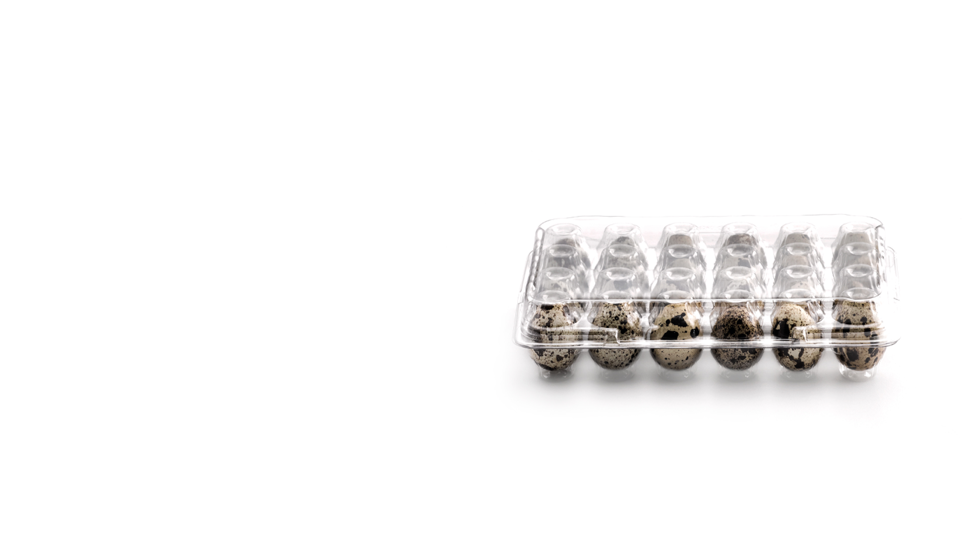 Clear QuailEggs resq®