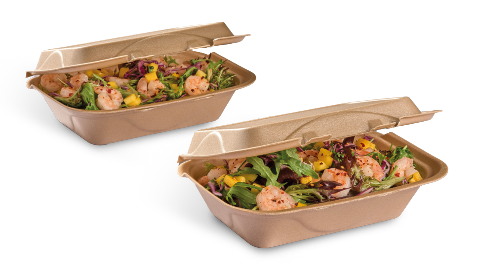 Darnel BIO® Biodegradable Thermal Hinged-Lid Containers