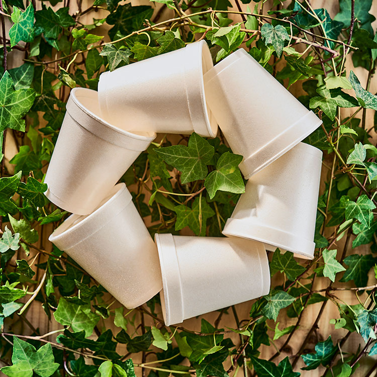 Darnel BIO® Biodegradable Thermal Cups