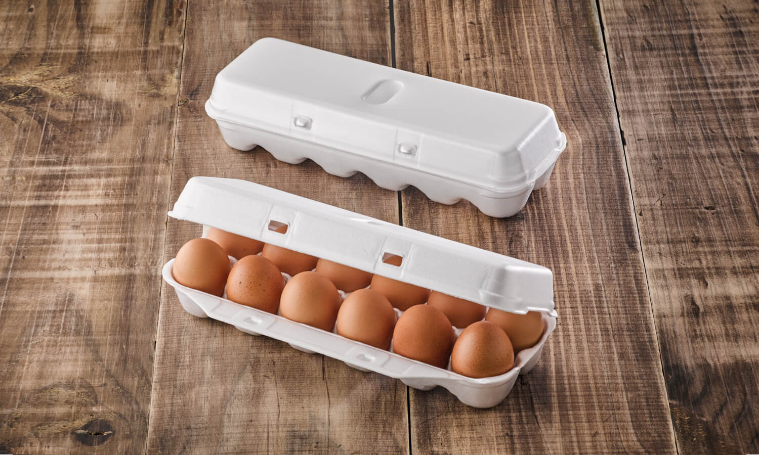 foam-egg-cartons-reduz