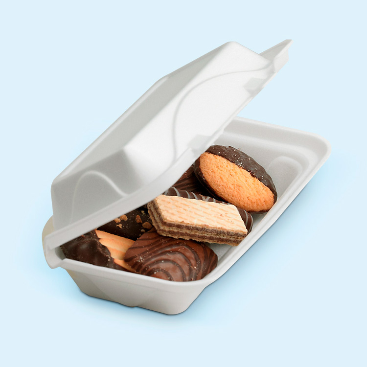 Foam Hinged-Lid Take Out Containers