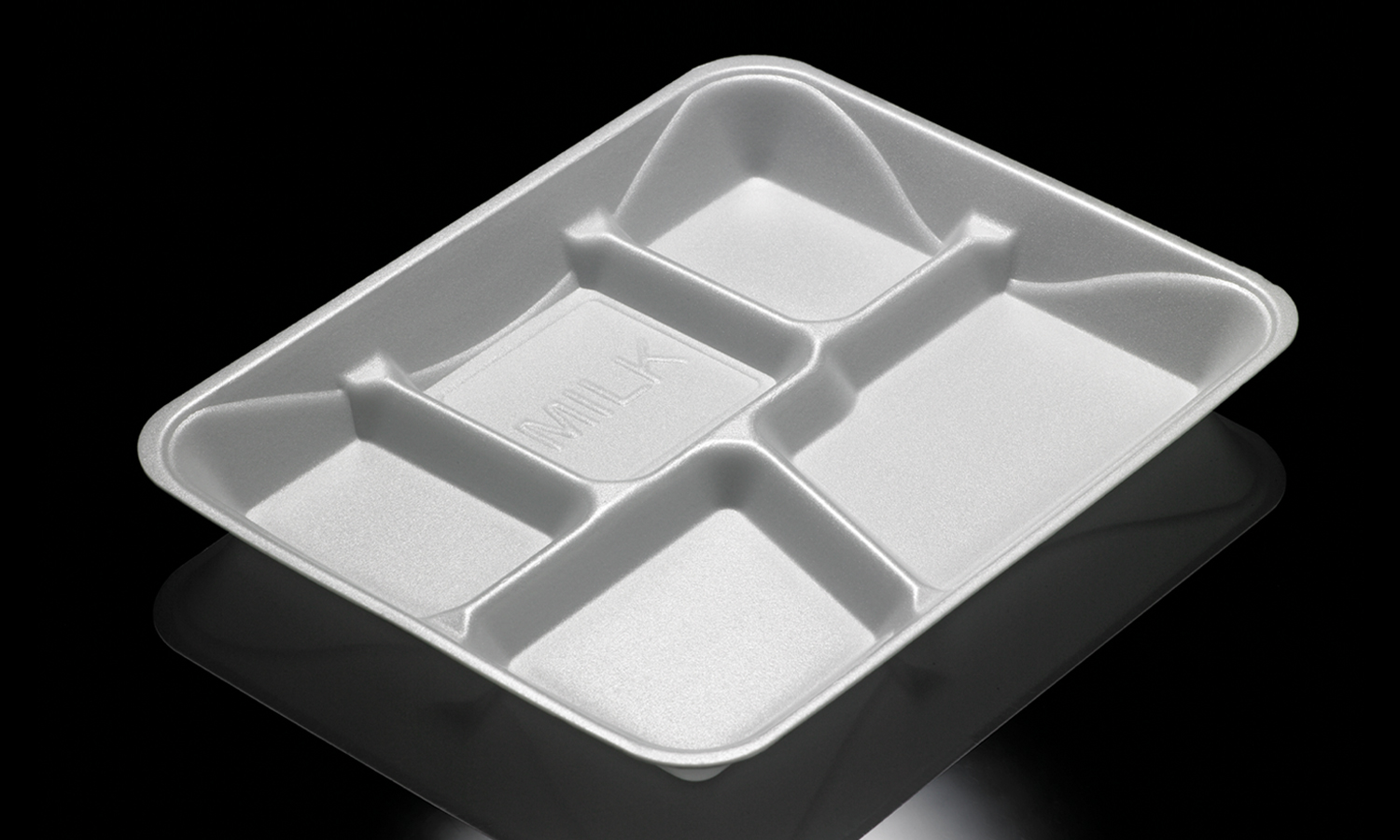 Foam Tray with Compartments