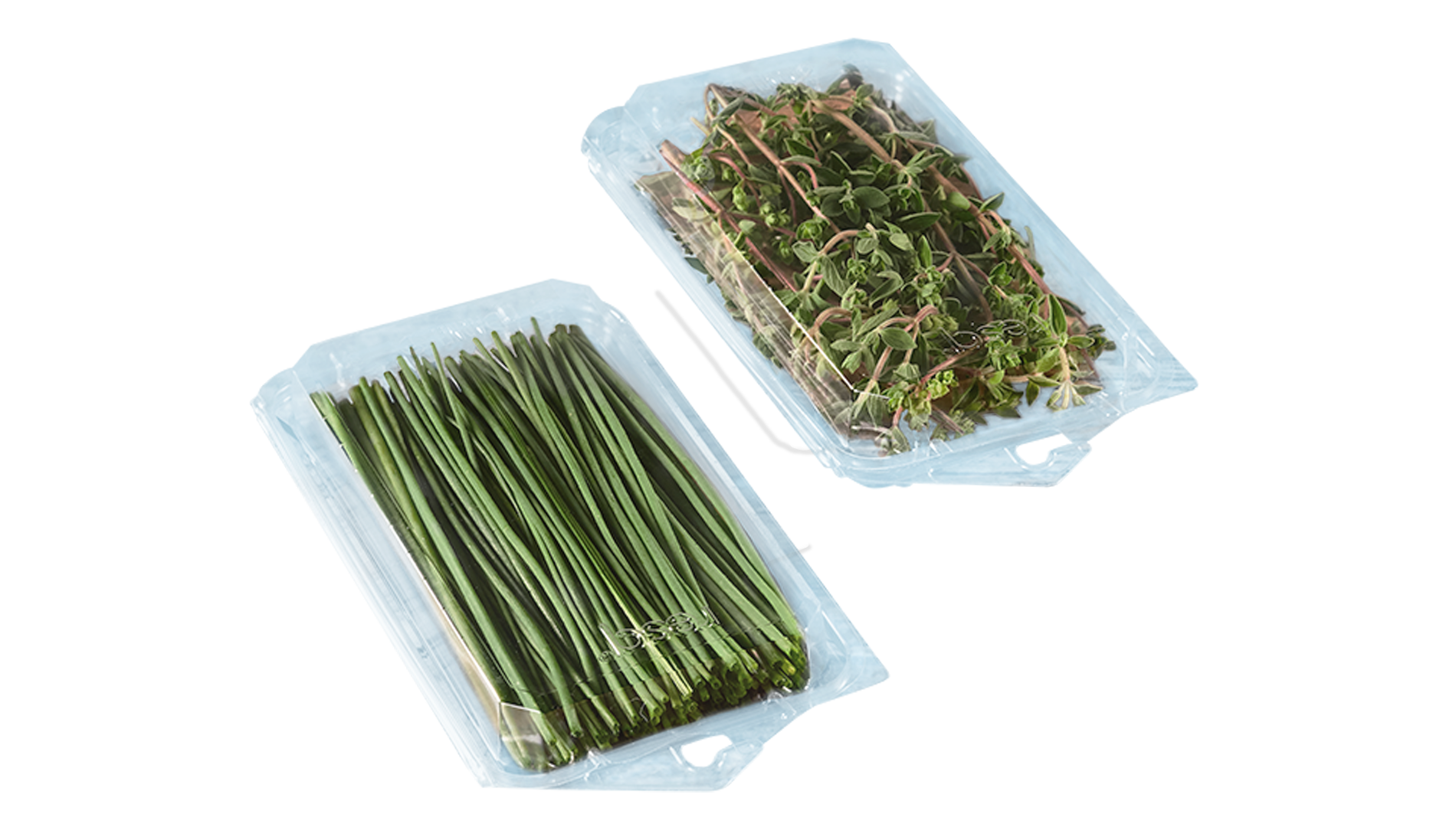 resq® Visual Herb Trays