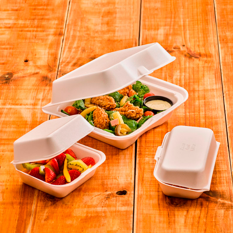 Foam Hinged-Lid Containers  reduz®