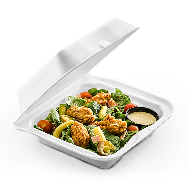 Foam Hinged-Lid Containers  reduz®