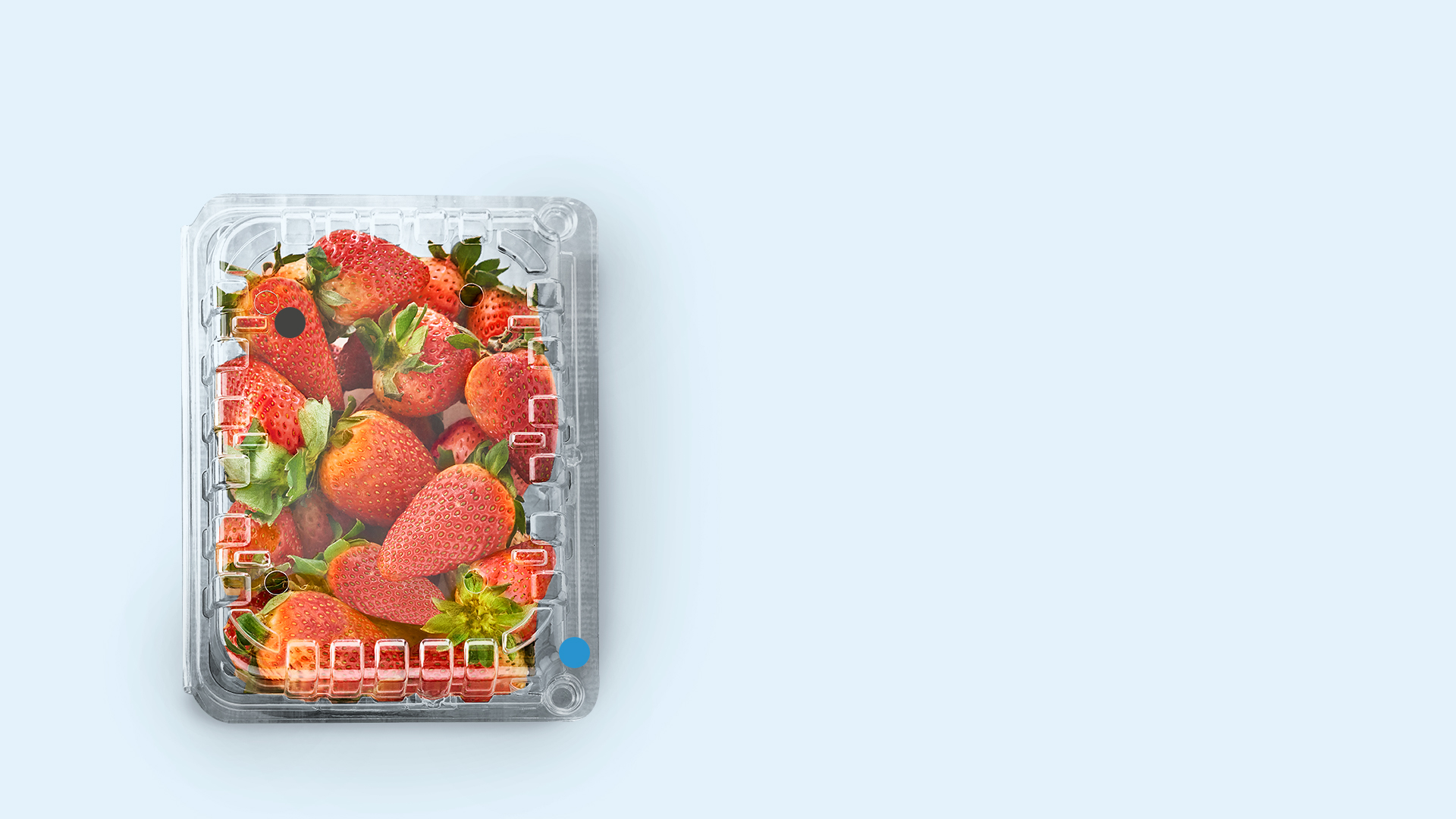 resq® Sandwich Container - Recyclable packaging