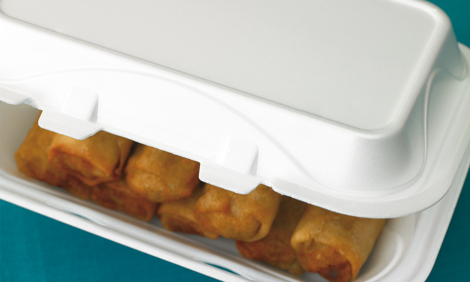 Foam Wave Hinged-Lid Containers reduz®