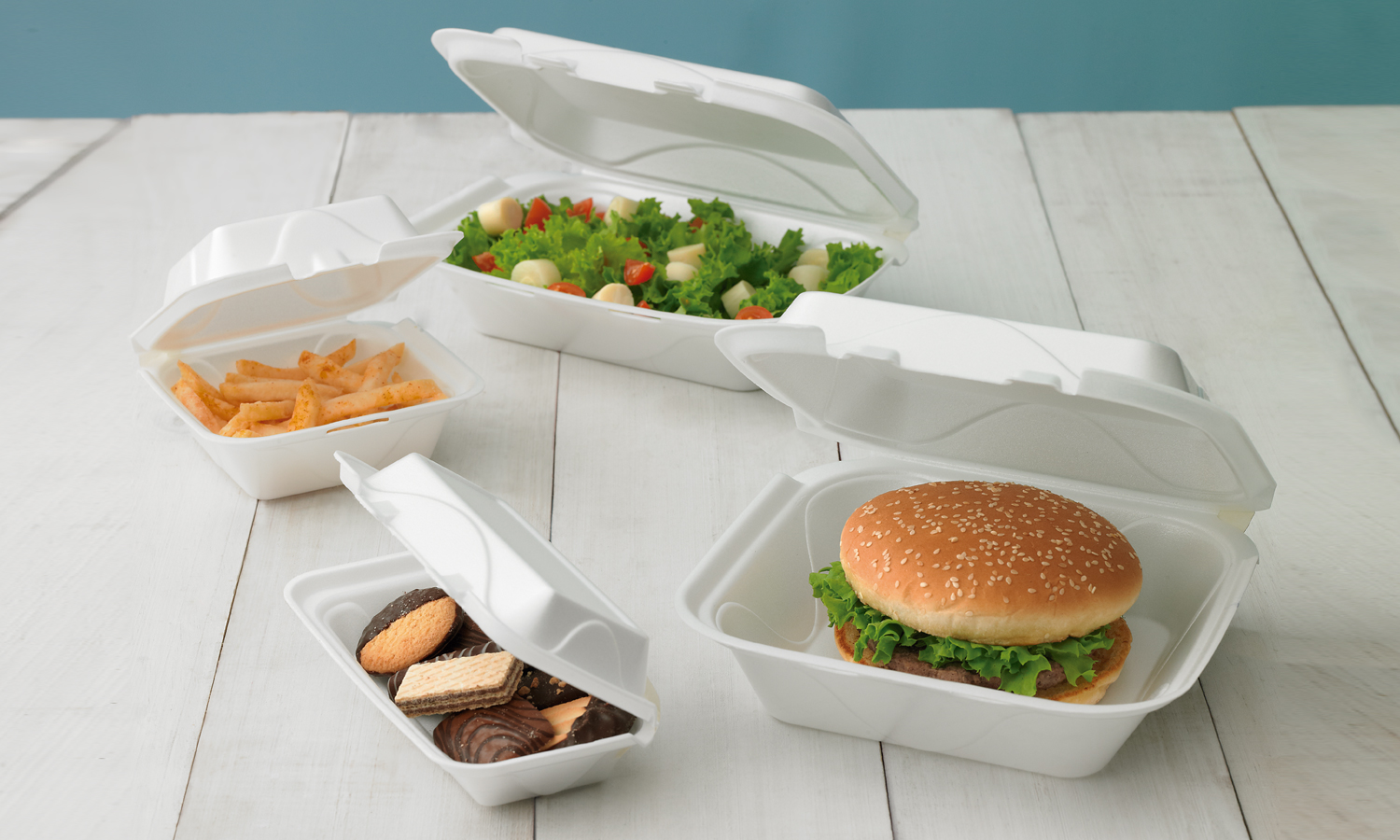 Wave Hinged Lids Take Out Container - Recyclable Packaging