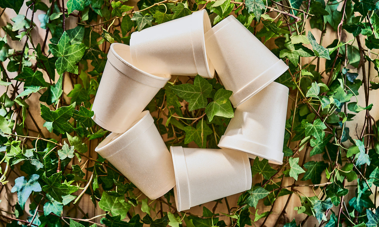 Vasos Térmicos Biodegradables Darnel Bio<sup class='reg'><small>®</small></sup>